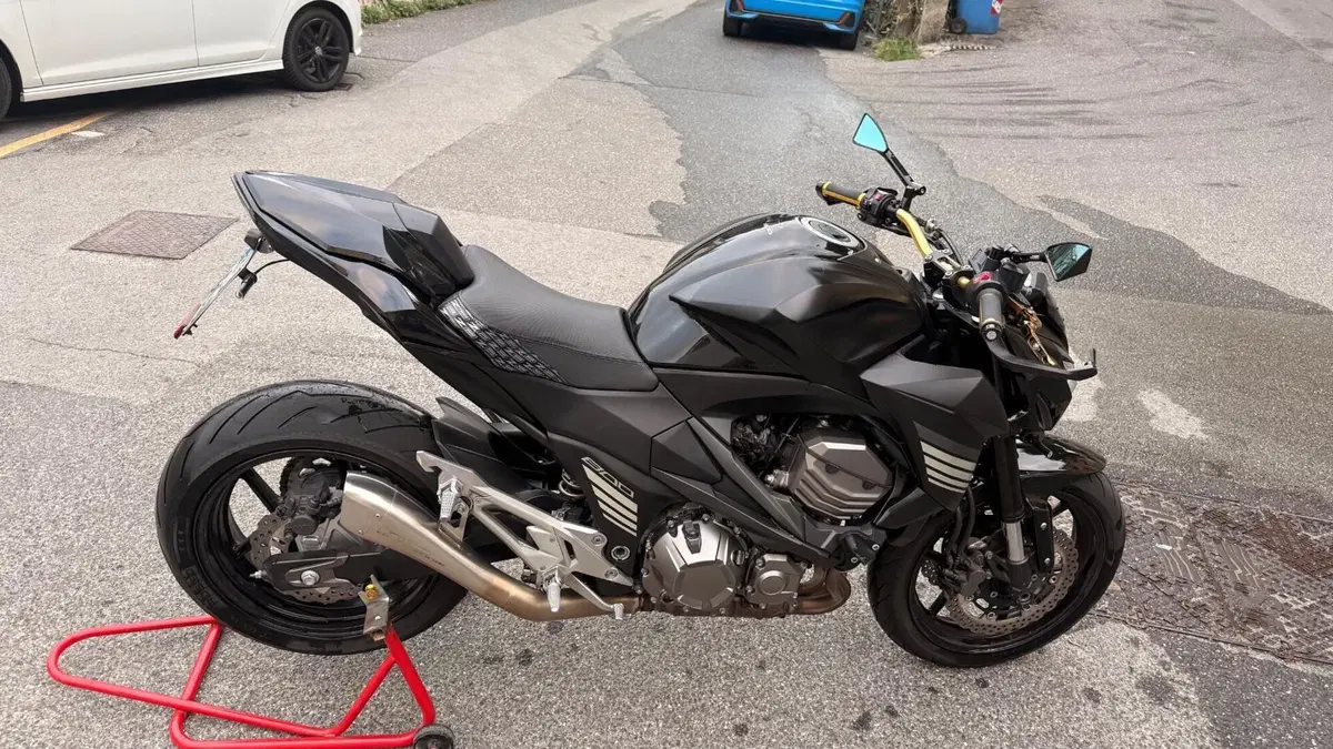 Kawasaki Z 800 Performance (2013 - 13)  (3)
