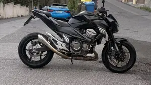 Kawasaki Z 800 Performance (2013 - 13)  (5)