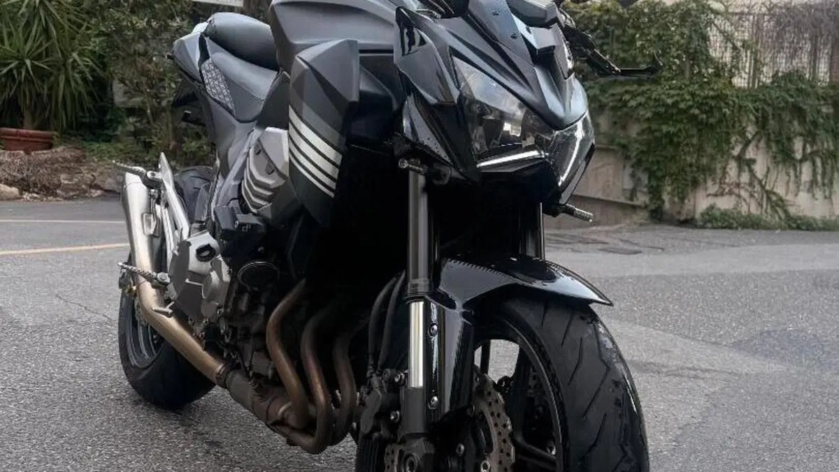 Kawasaki Z 800 Performance (2013 - 13)  (6)