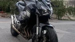 Kawasaki Z 800 Performance (2013 - 13)  (6)