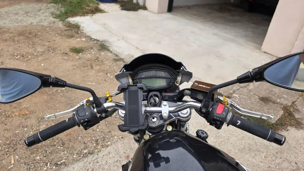 Suzuki SV 650 (1999 - 02)  (4)