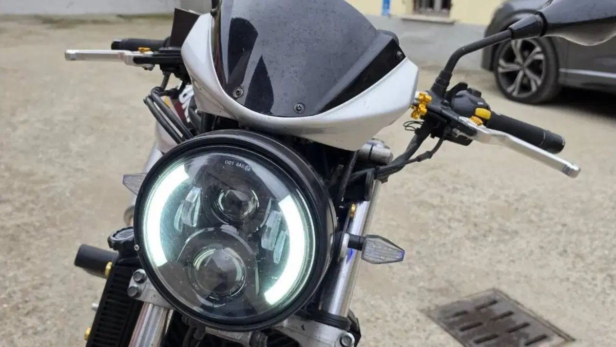 Suzuki SV 650 (1999 - 02)  (6)
