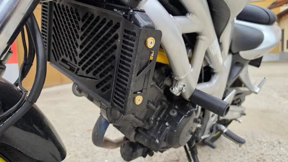 Suzuki SV 650 (1999 - 02)  (7)