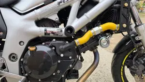 Suzuki SV 650 (1999 - 02)  (9)