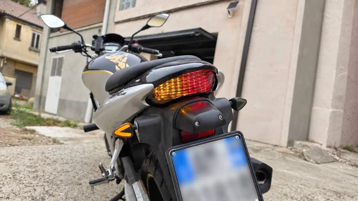Suzuki SV 650 (1999 - 02)  (11)
