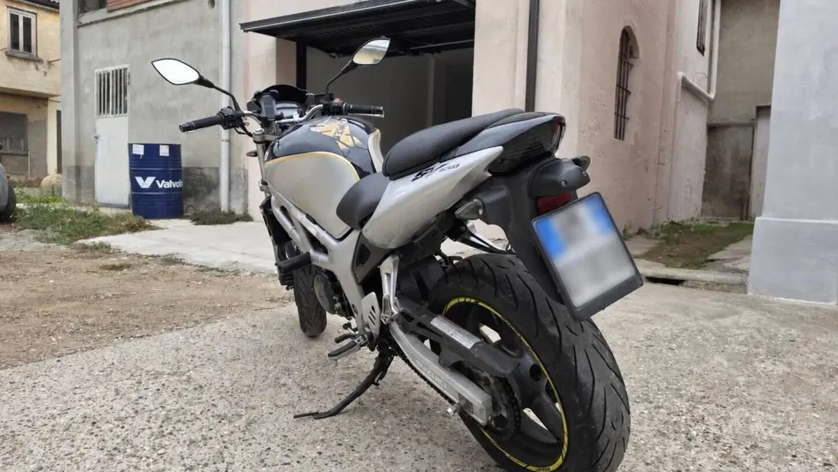 Suzuki SV 650 (1999 - 02)  (13)