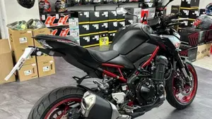 Kawasaki Z 900 (2021 - 24)  (3)