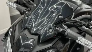 Kawasaki Z 900 (2021 - 24)  (9)