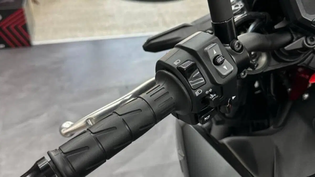 Kawasaki Z 900 (2021 - 24)  (10)