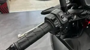 Kawasaki Z 900 (2021 - 24)  (10)