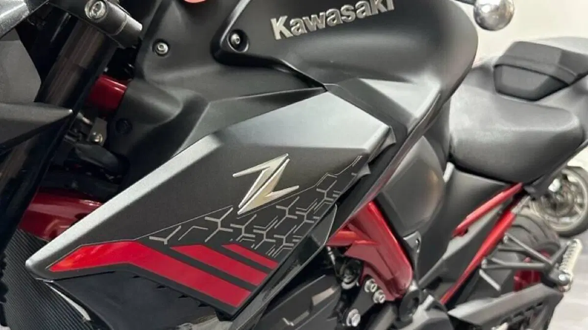 Kawasaki Z 900 (2021 - 24)  (16)
