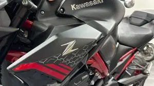 Kawasaki Z 900 (2021 - 24)  (16)