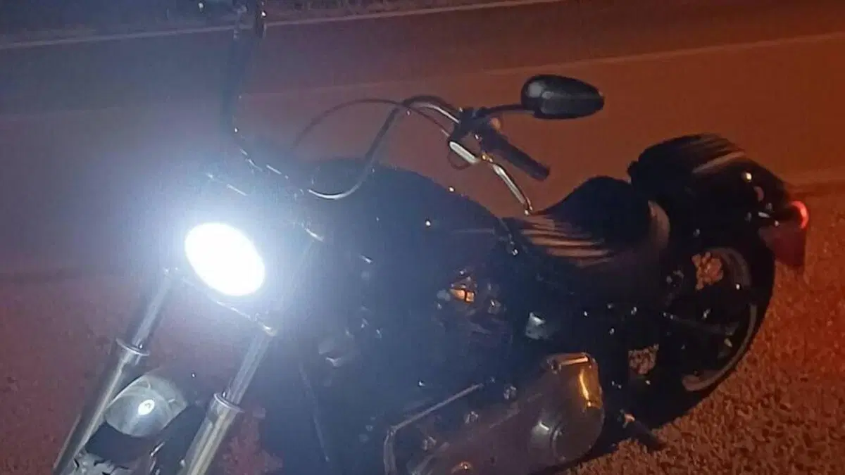 Harley-Davidson Softail Standard (2020) - FXST  (2)