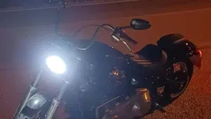 Harley-Davidson Softail Standard (2020) - FXST  (2)