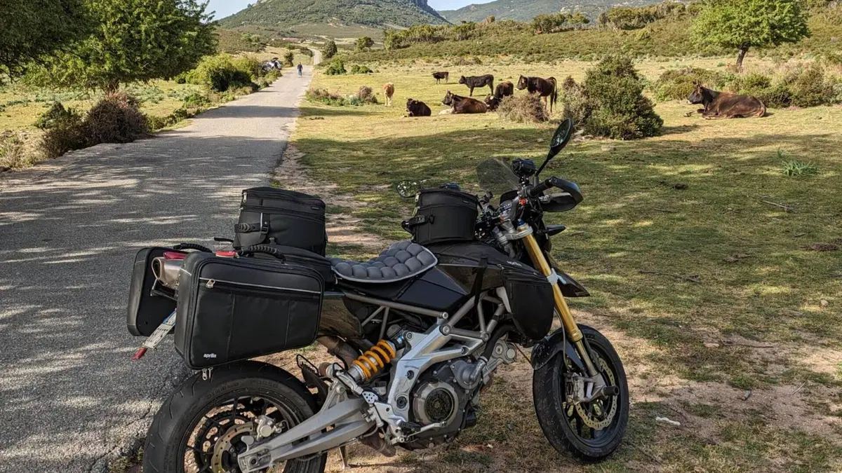 Aprilia Dorsoduro 750 (2009 - 14)  (3)