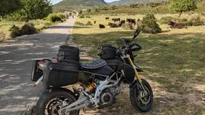 Aprilia Dorsoduro 750 (2009 - 14)  (3)