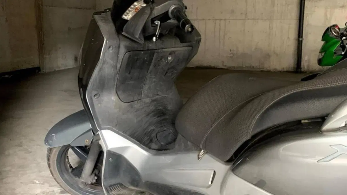 Yamaha X-Max 250 (2007 - 09)  (3)