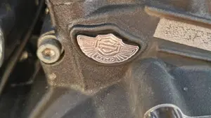 Harley-Davidson 1200 Custom (2001 - 03) - XL 1200C  (18)