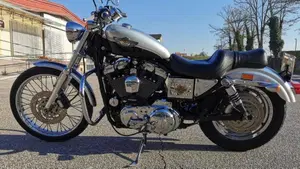 Harley-Davidson 1200 Custom (2001 - 03) - XL 1200C 