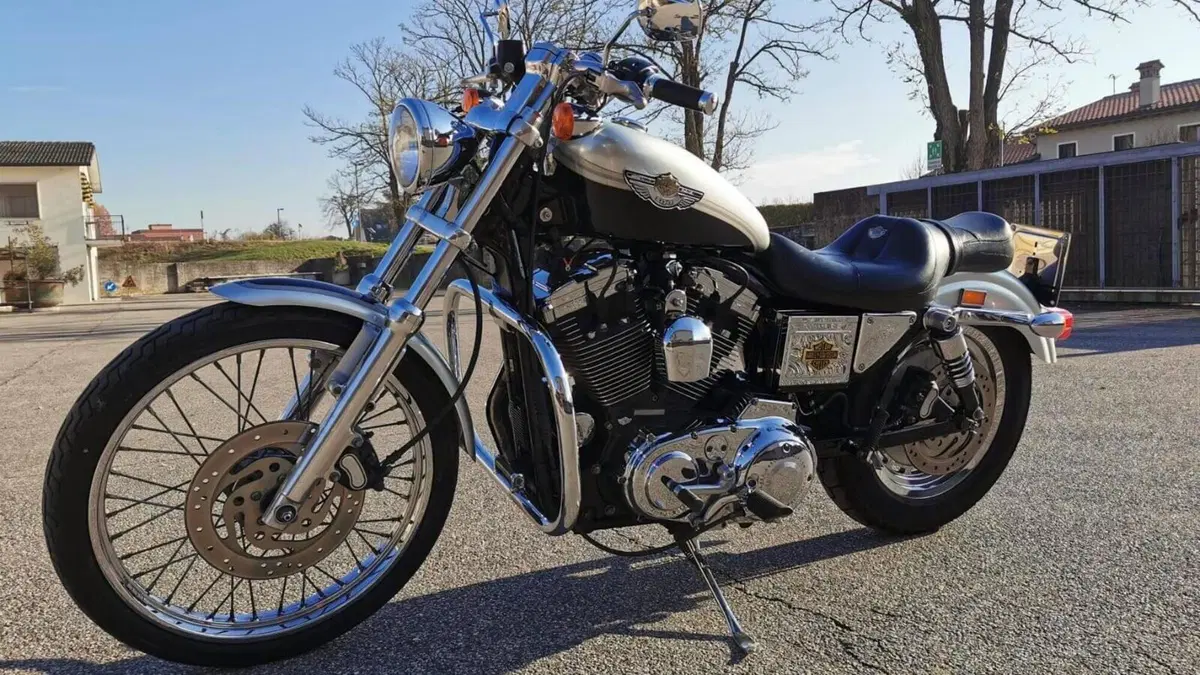 Harley-Davidson 1200 Custom (2001 - 03) - XL 1200C  (11)