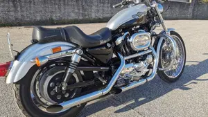 Harley-Davidson 1200 Custom (2001 - 03) - XL 1200C  (14)
