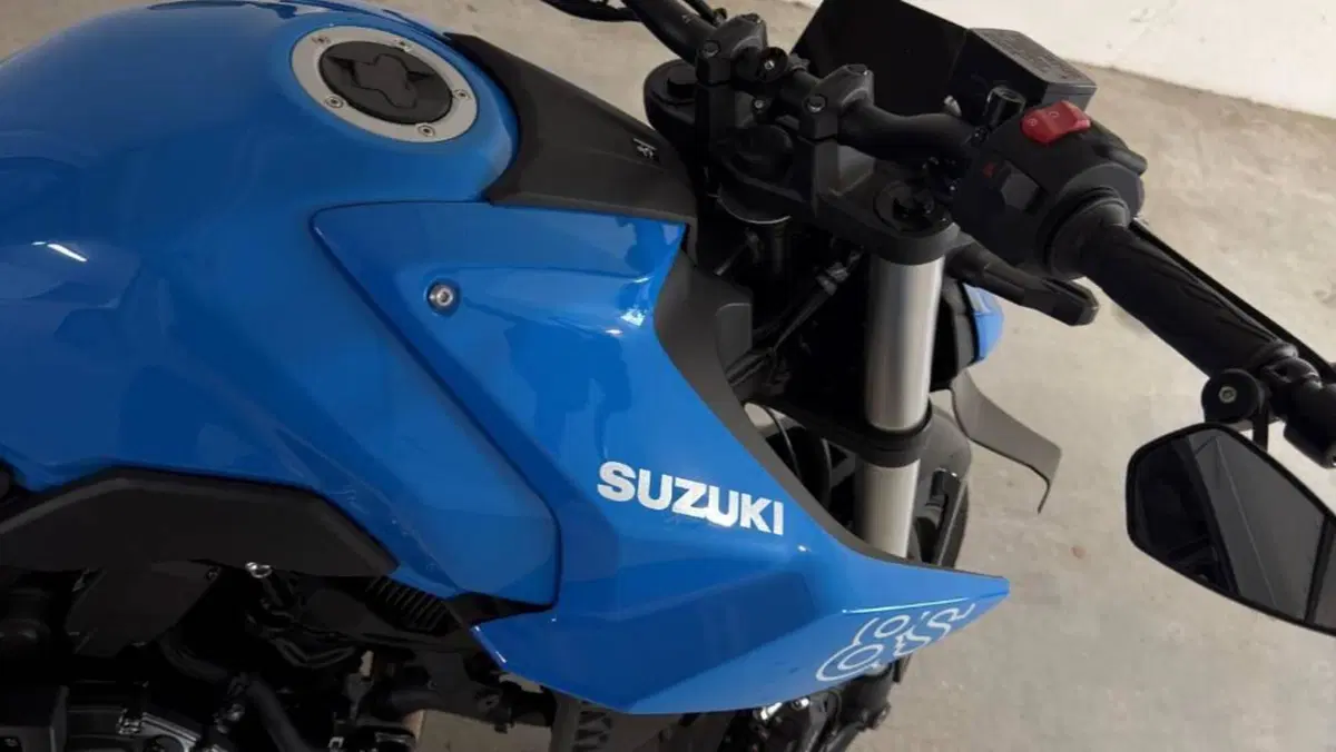 Suzuki GSX-8S (2025 - 26)  (2)