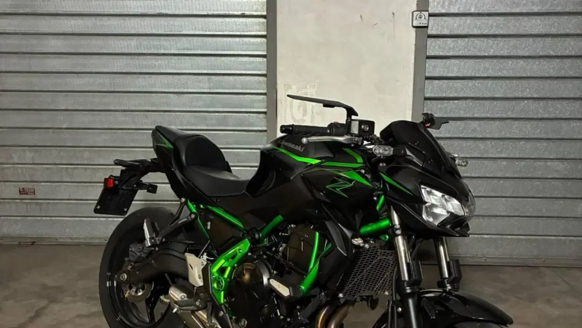 Kawasaki Z 650 (2025 - 27)  (2)