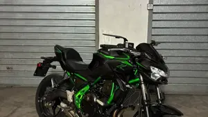Kawasaki Z 650 (2025 - 27)  (2)