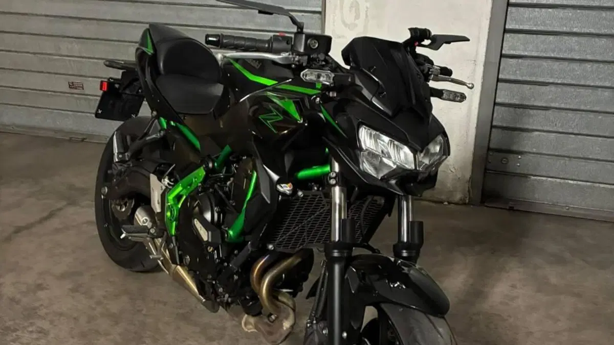 Kawasaki Z 650 (2025 - 27)  (3)