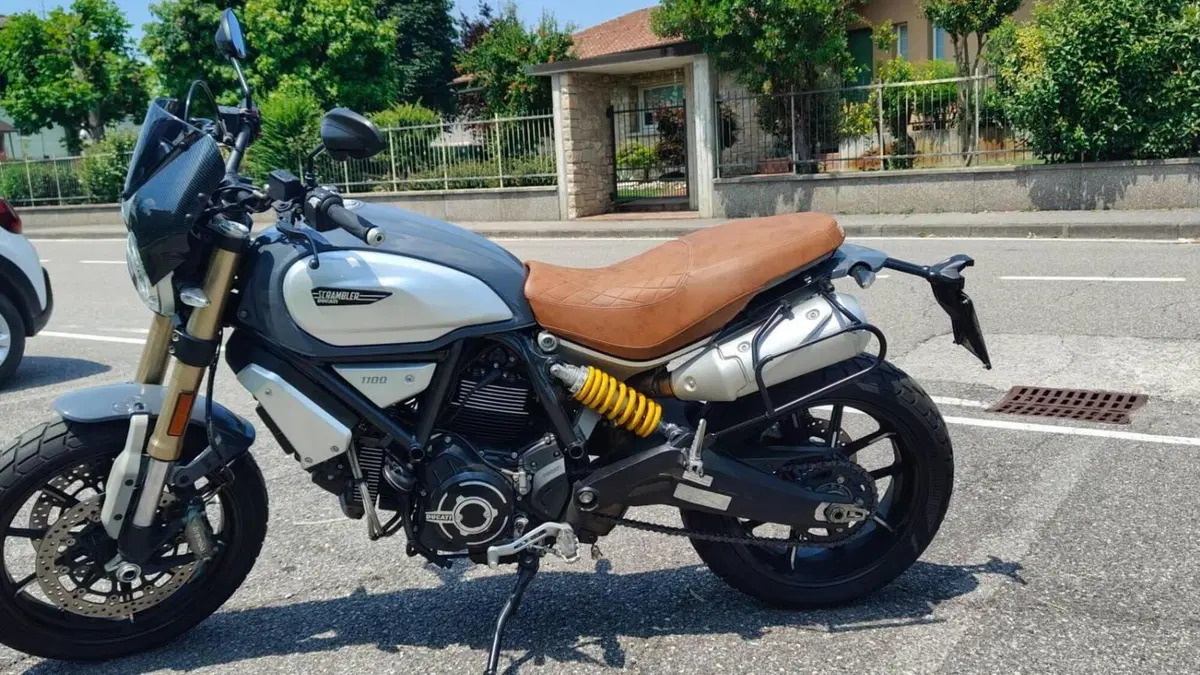 Ducati Scrambler 1100 Special (2018 - 20) 