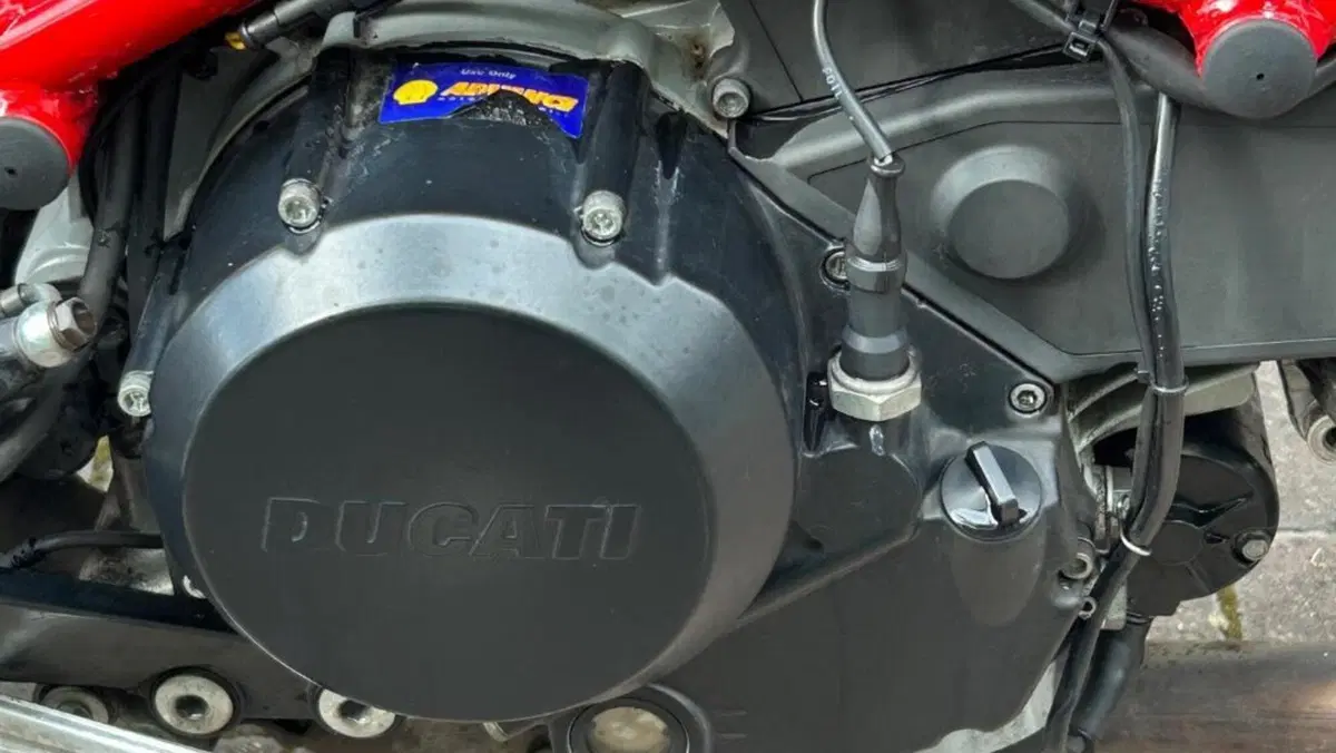 Ducati Monster 695 (2006 - 08)  (5)