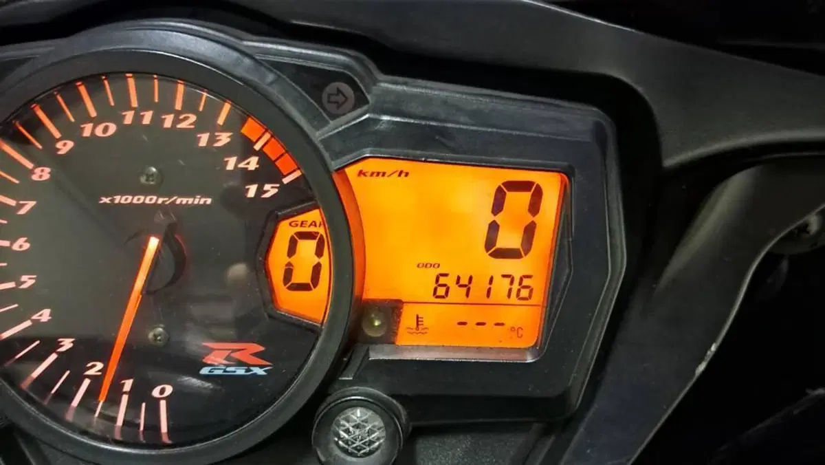 Suzuki GSX-R1000 (2005 - 06)  (8)