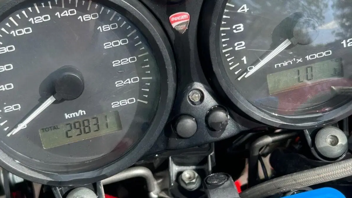 Ducati Monster 695 (2006 - 08)  (8)