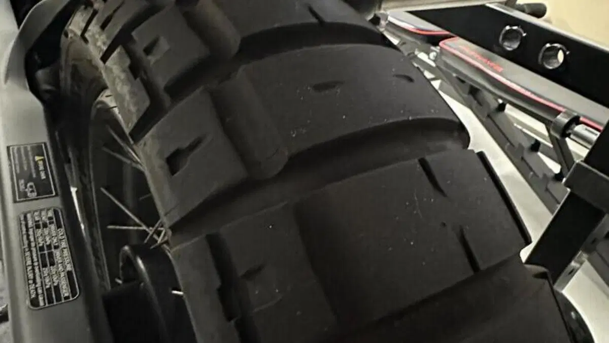 Benelli Leoncino 800 Trail (2022 - 26)  (2)