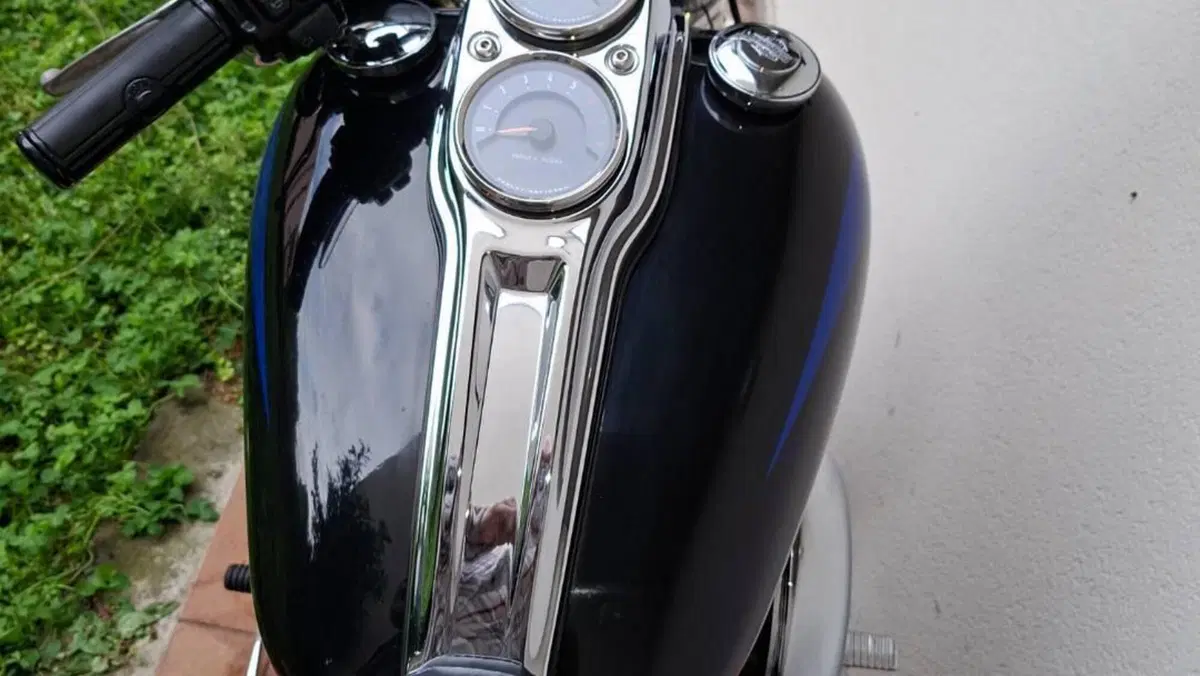 Harley-Davidson 107 Low Rider (2018 - 20) - FXLR  (6)