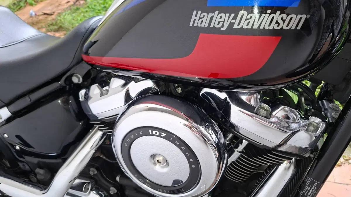 Harley-Davidson 107 Low Rider (2018 - 20) - FXLR  (7)