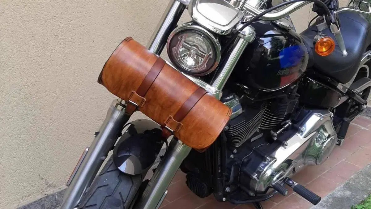 Harley-Davidson 107 Low Rider (2018 - 20) - FXLR  (9)