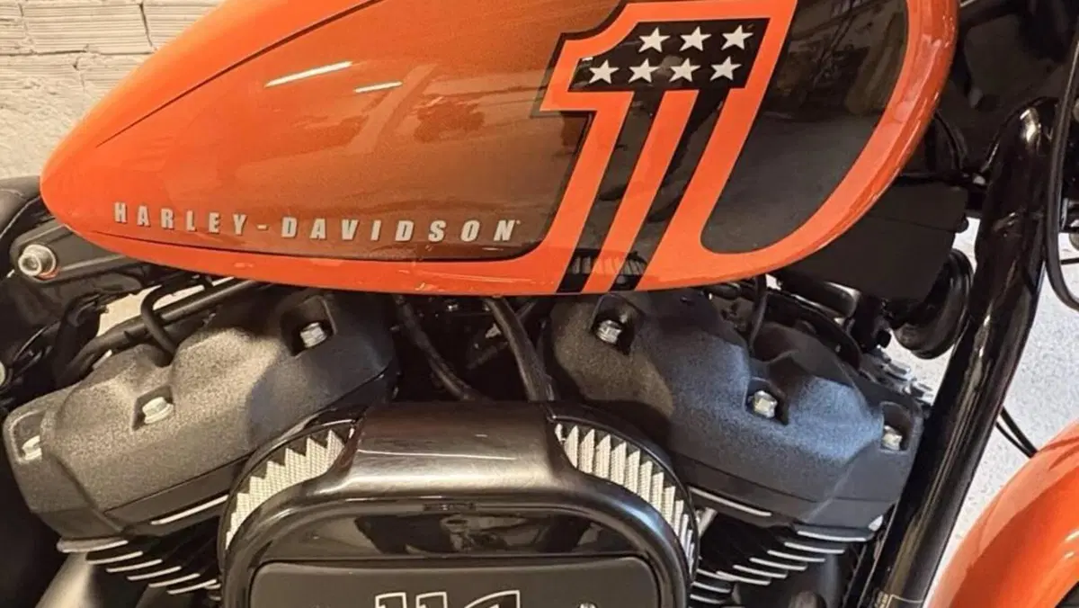 Harley-Davidson Street Bob 114 (2021 - 24)  (6)