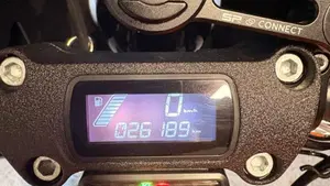 Harley-Davidson Street Bob 114 (2021 - 24)  (18)