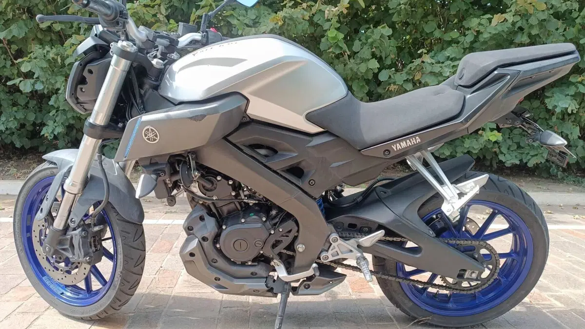 Yamaha MT-125 (2014 - 16)  (3)