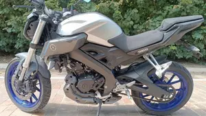 Yamaha MT-125 (2014 - 16)  (3)