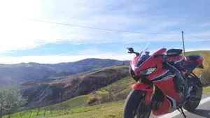 Honda CBR 1000 RR Fireblade (2017 - 19)  (2)
