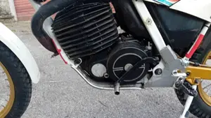 Fantic Motor Trial 300 / 303,2  (3)