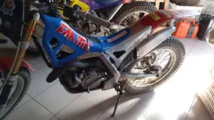 Fantic Motor Section 249  (2)