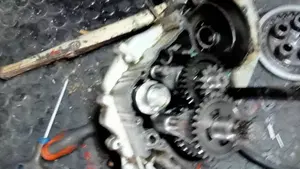 Fantic Motor Section 249  (13)