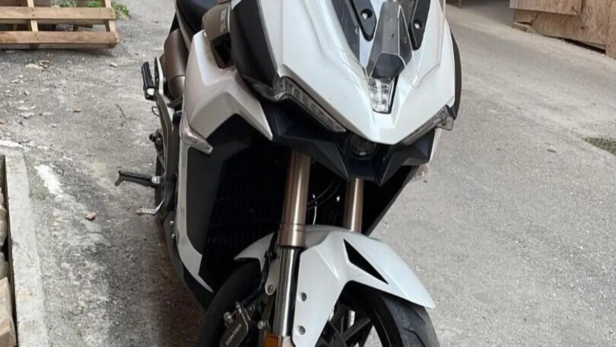 Zontes ZT310-X (2021 - 23)  (4)