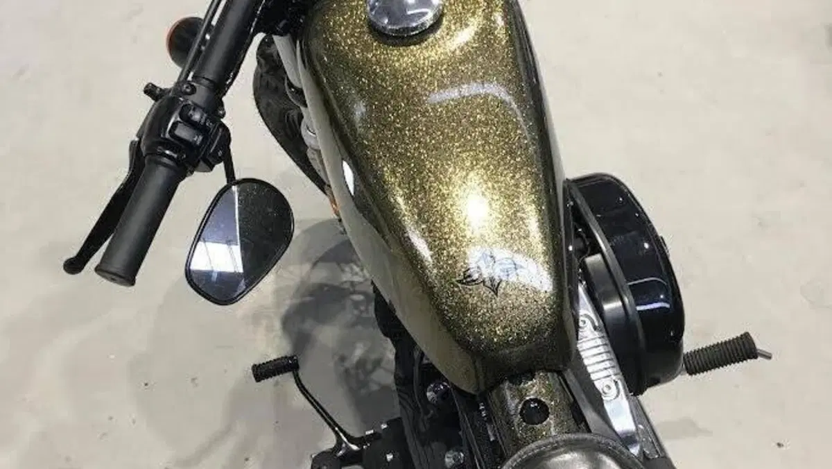 Harley-Davidson 1200 Forty-Eight (2010 - 15)  (3)