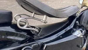Harley-Davidson 1200 Forty-Eight (2010 - 15)  (6)