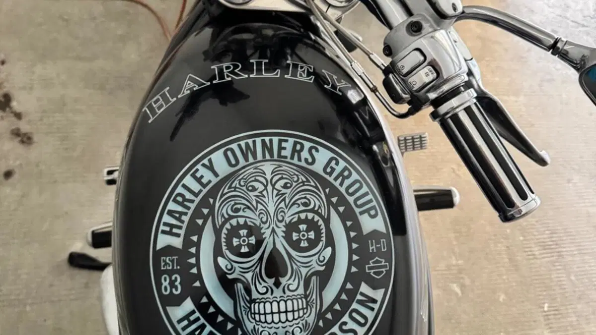 Harley-Davidson 1130 V-ROD (2002 - 05) - VRSCB  (2)