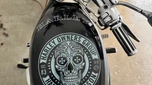 Harley-Davidson 1130 V-ROD (2002 - 05) - VRSCB  (2)